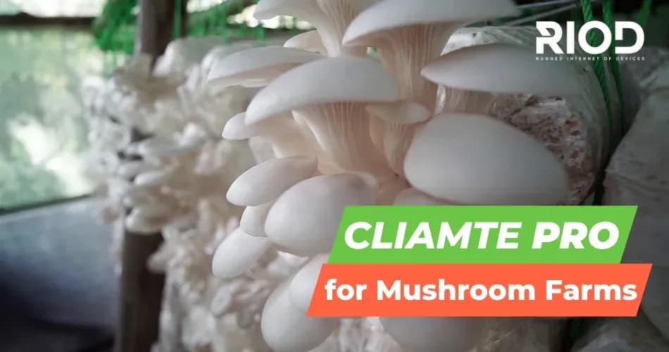 Climate Pro for Mushroom Farm Climate Control