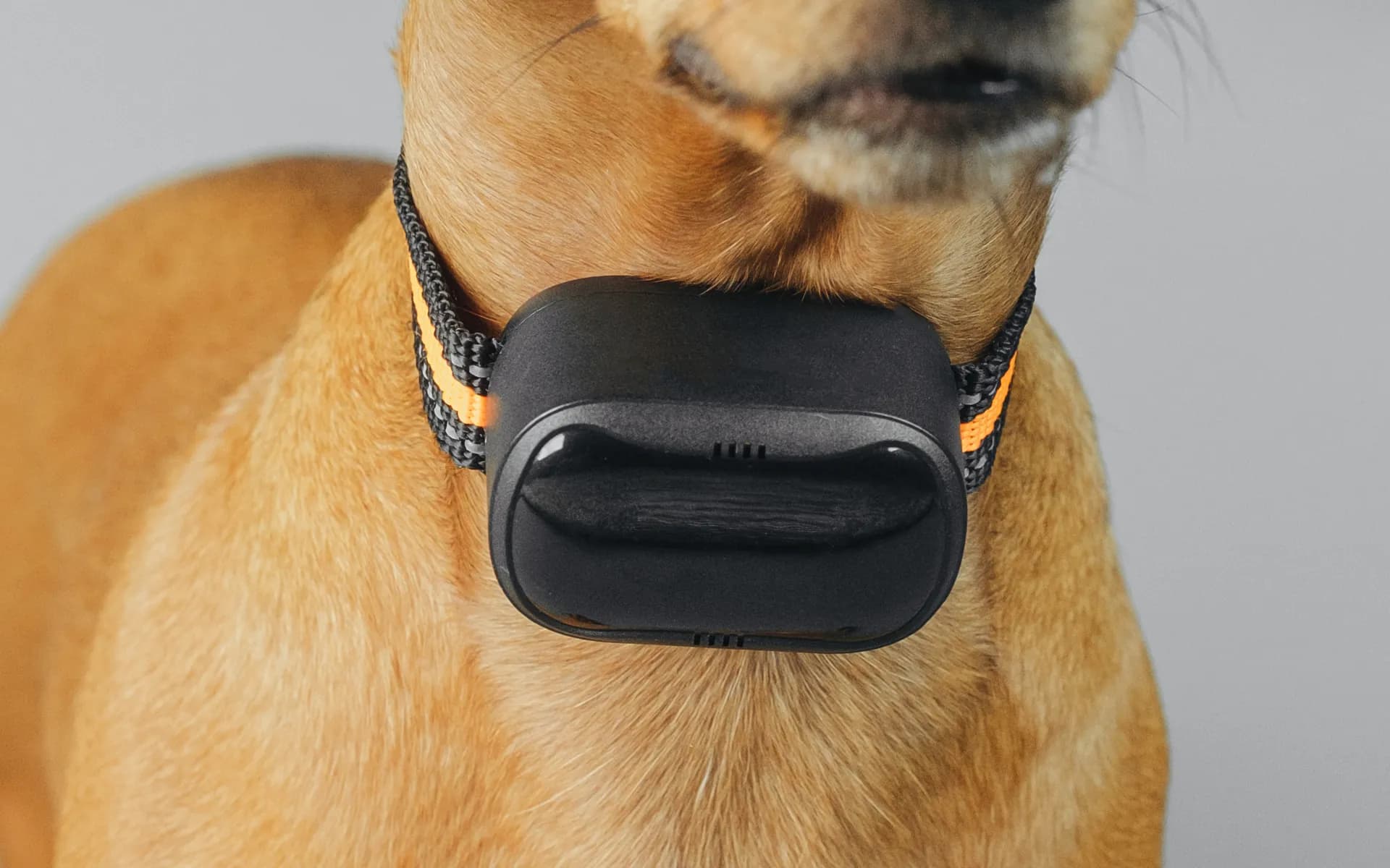 Pet GPS Tracking Device